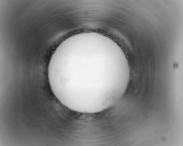 X0000103170773200809192116