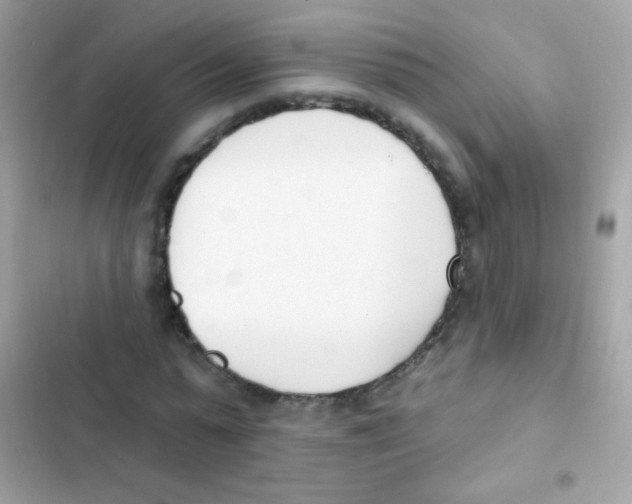 X0000103170775200809192116