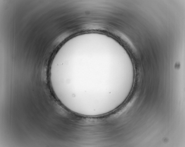 X0000103170777200809192116