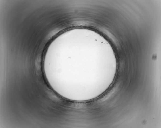 X0000103170778200809192116