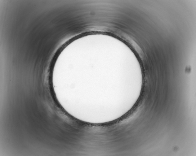 X0000103170779200809192116