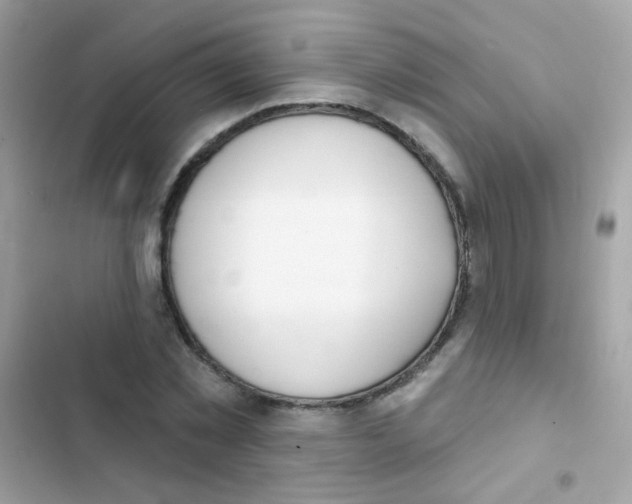 X0000103170781200809192116