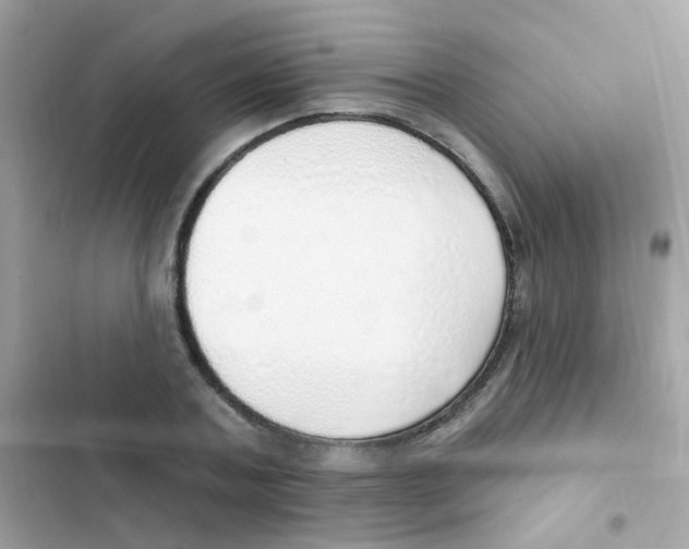 X0000103170787200809192115