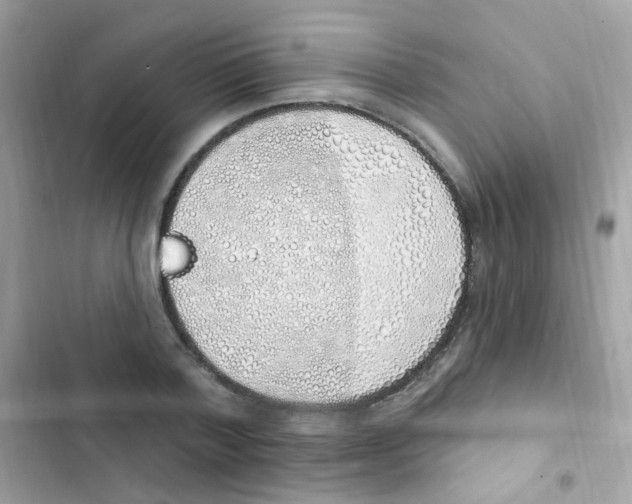 X0000103170788200809192115