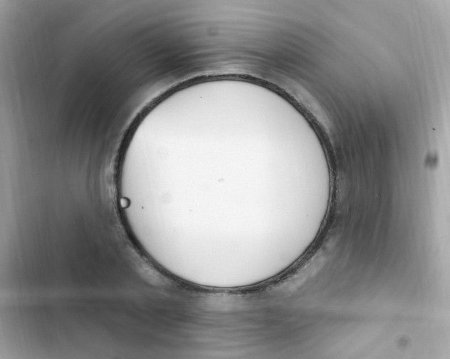 X0000103170789200809192115