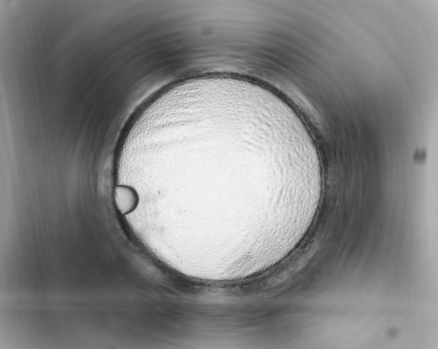 X0000103170790200809192115