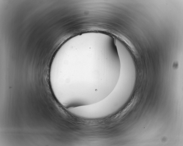 X0000103170793200809192115