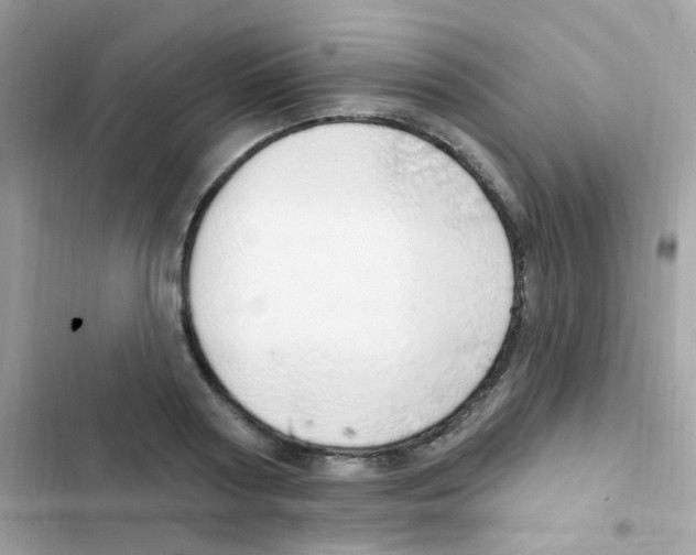 X0000103170794200809192115