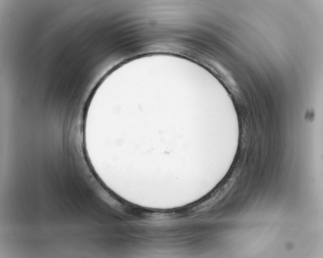 X0000103170796200809192115