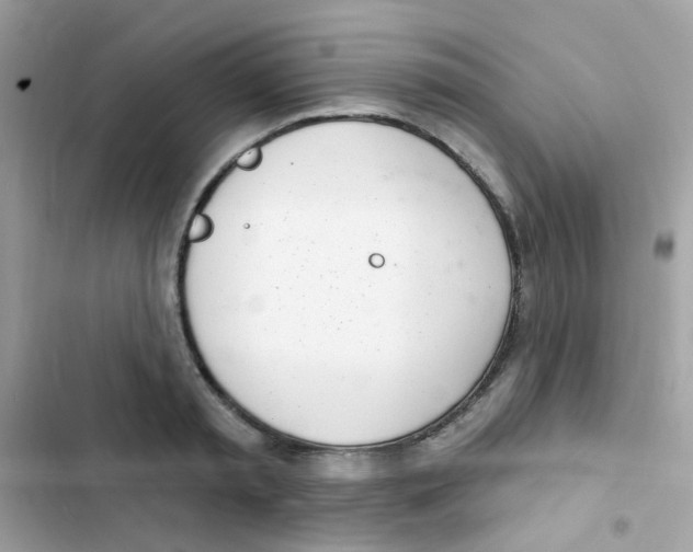 X0000103170797200809192115