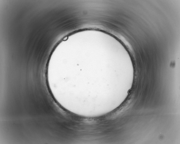 X0000103170799200809192115