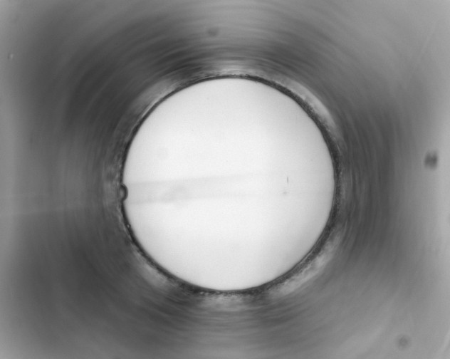 X0000103170801200809192115