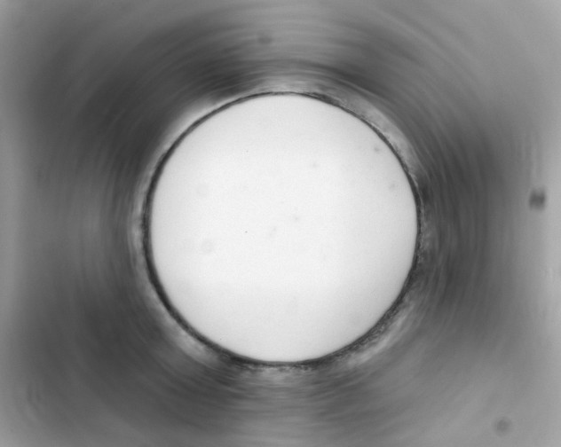 X0000103170803200809192115