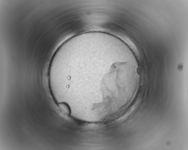 X0000103170806200809192115