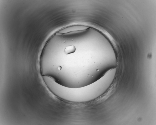 X0000103170807200809192115