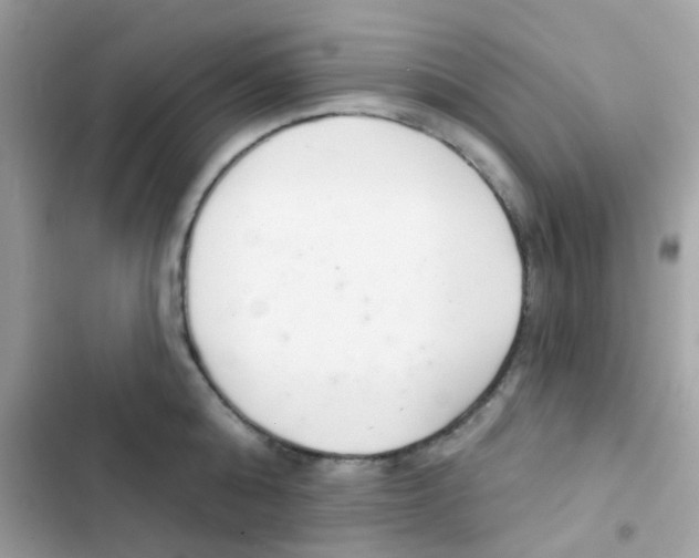 X0000103170808200809192115