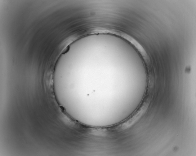 X0000103170809200809192115