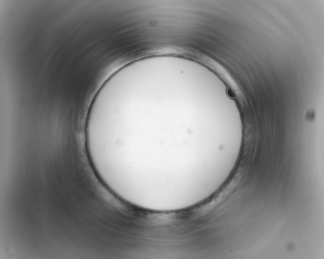 X0000103170810200809192115