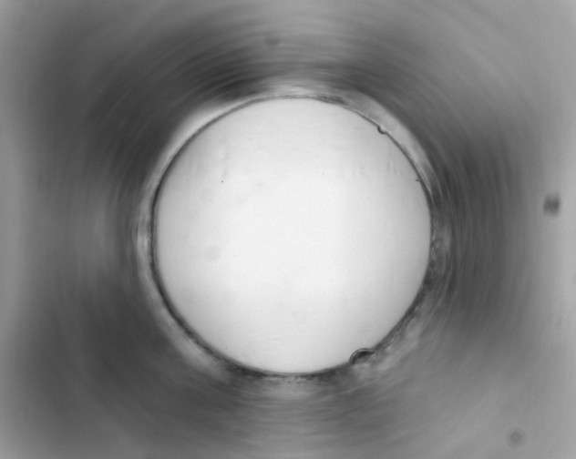 X0000103170811200809192115