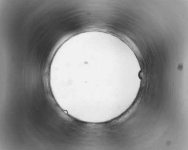 X0000103170812200809192115