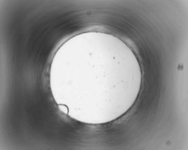 X0000103170816200809192115