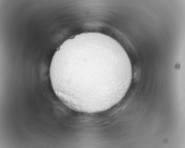 X0000103170819200809192114