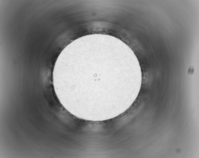 X0000103170820200809192114