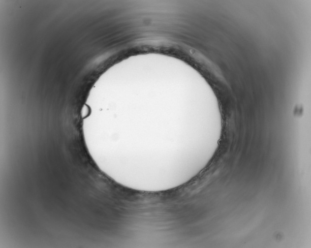 X0000103170822200809192114