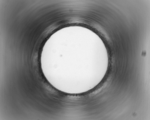 X0000103170825200809192114