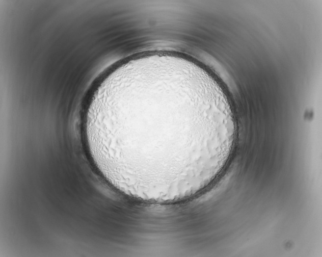 X0000103170827200809192115