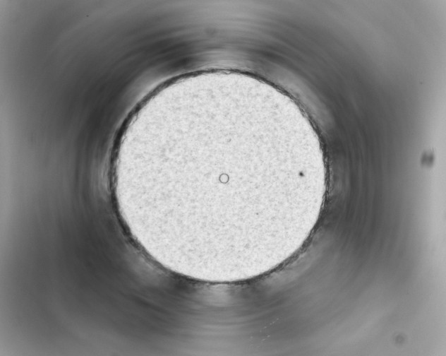 X0000103170828200809192115