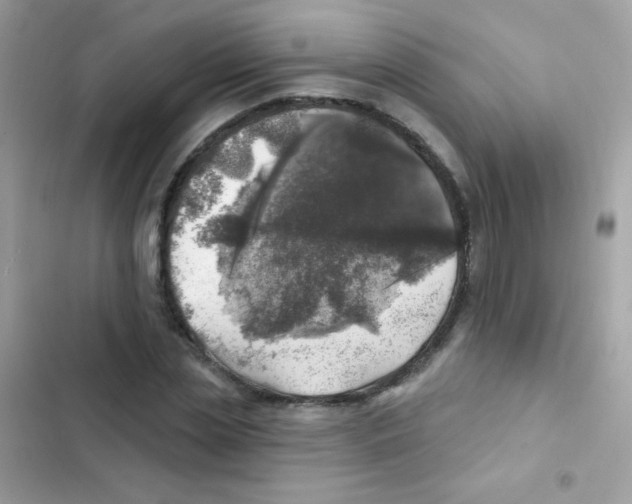 X0000103170829200809192115