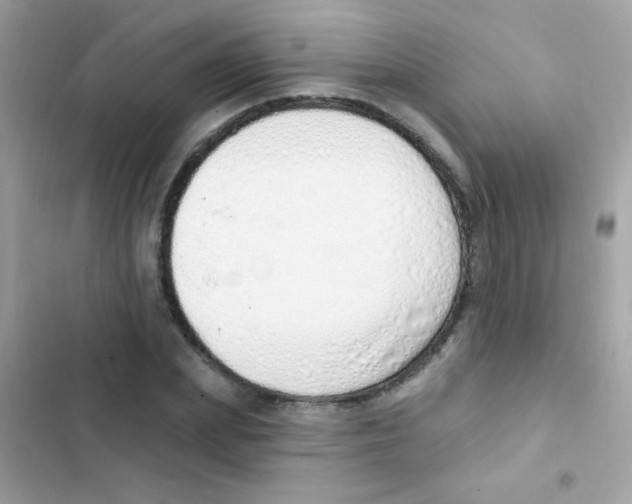 X0000103170831200809192115