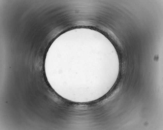 X0000103170833200809192115