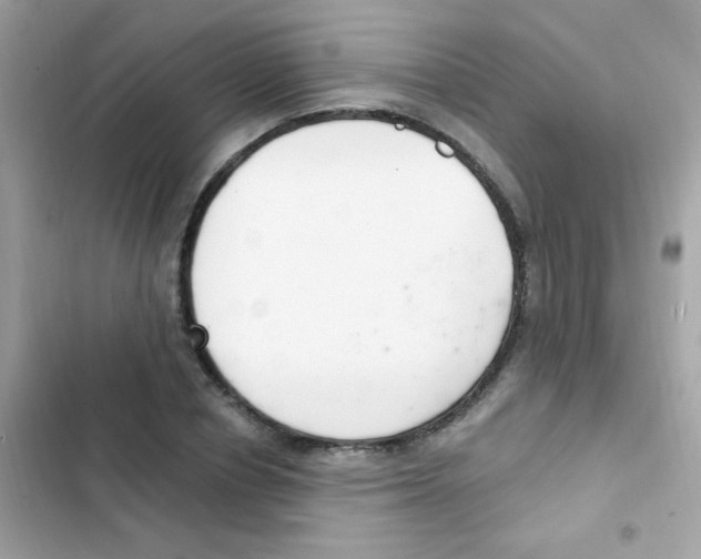 X0000103170834200809192115