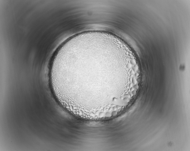 X0000103170835200809192115