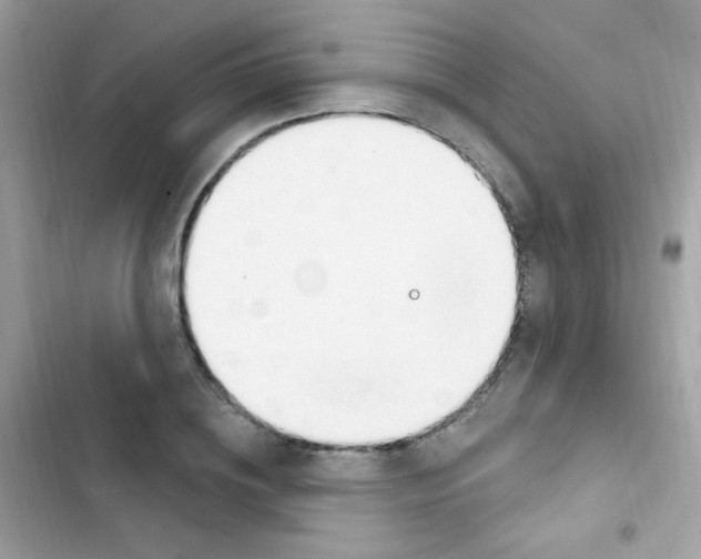 X0000103170836200809192115