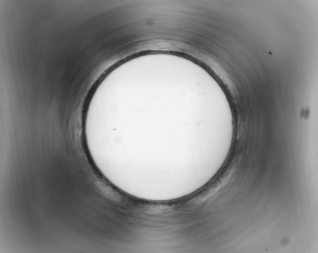 X0000103170837200809192115