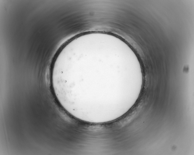 X0000103170838200809192115