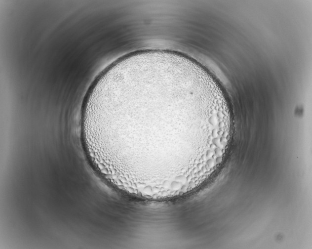 X0000103170839200809192115