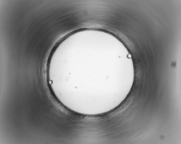 X0000103170840200809192115