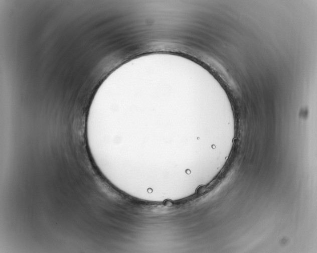 X0000103170841200809192115