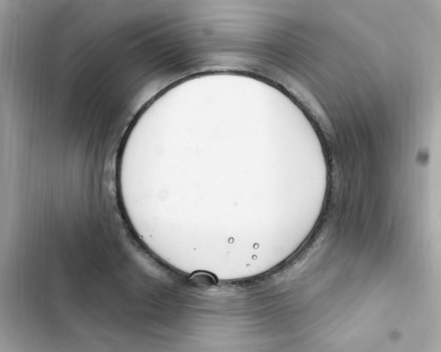 X0000103170842200809192115