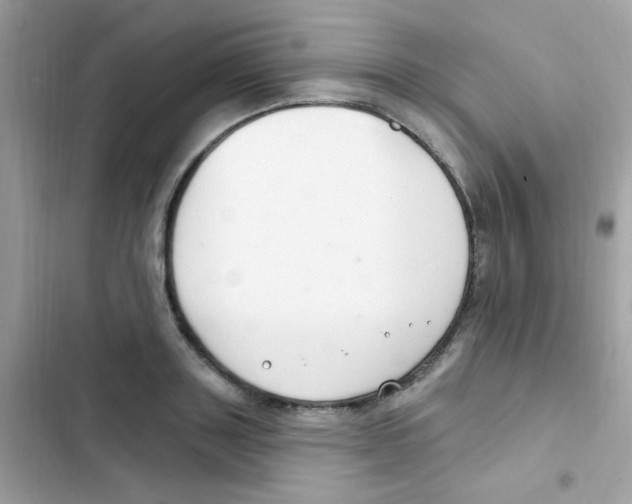 X0000103170843200809192115