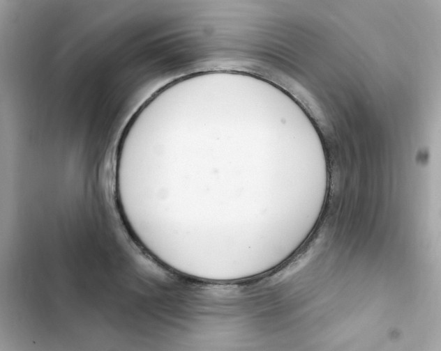 X0000103170844200809192115