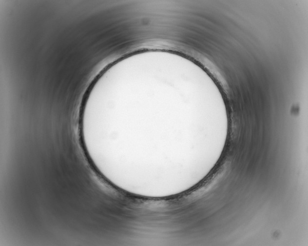 X0000103170845200809192115