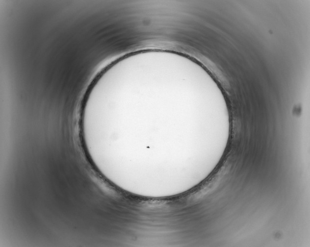 X0000103170846200809192115