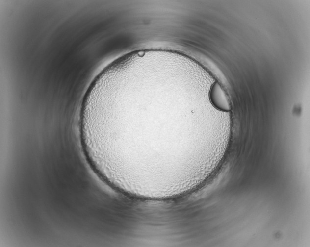 X0000103170847200809192115