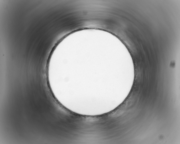 X0000103170848200809192115