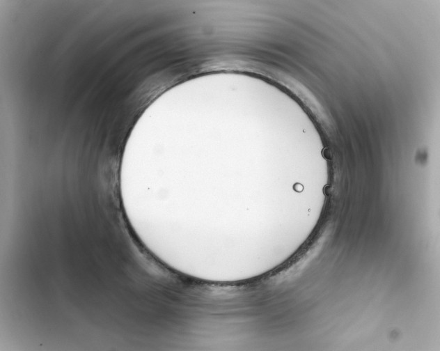 X0000103170849200809192115